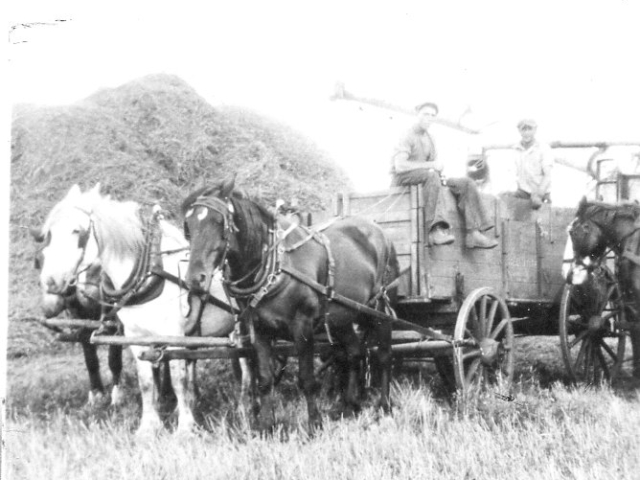 Harvesting & Threshing at Harrisons - 1934