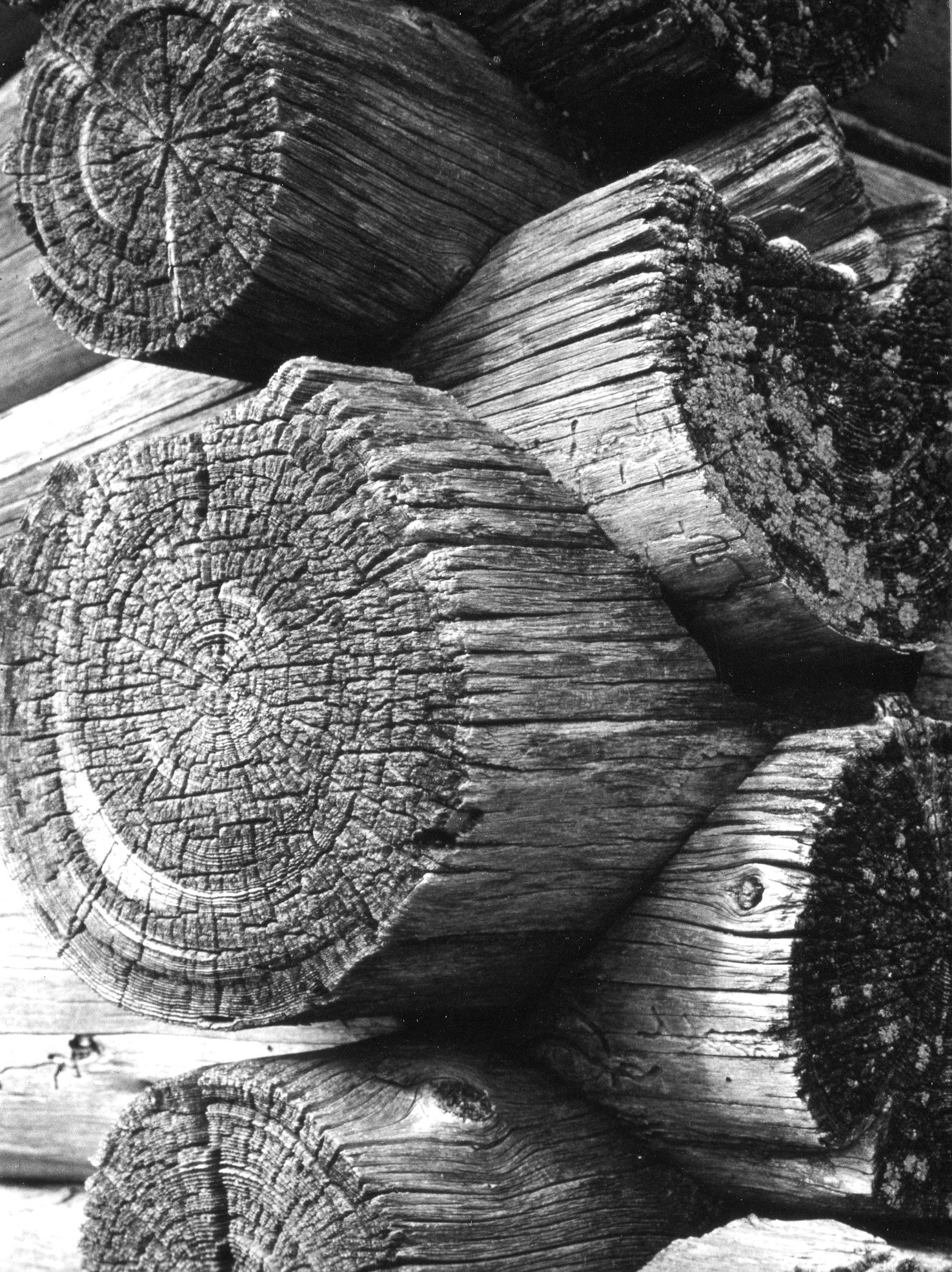 Log Home construction detail
