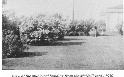 View of Municipal Building from McNeill Yard 1950