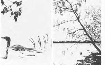 Sketches of Gull Lake