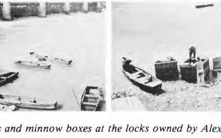 Row boats and minnow traps at the locks