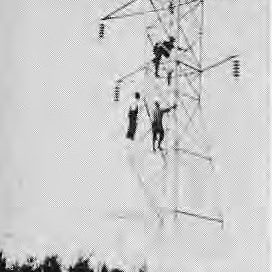 Workers on Hydro Tower