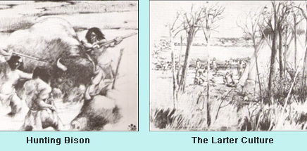 Drawing of bison hunters and scenes from the Larter culture